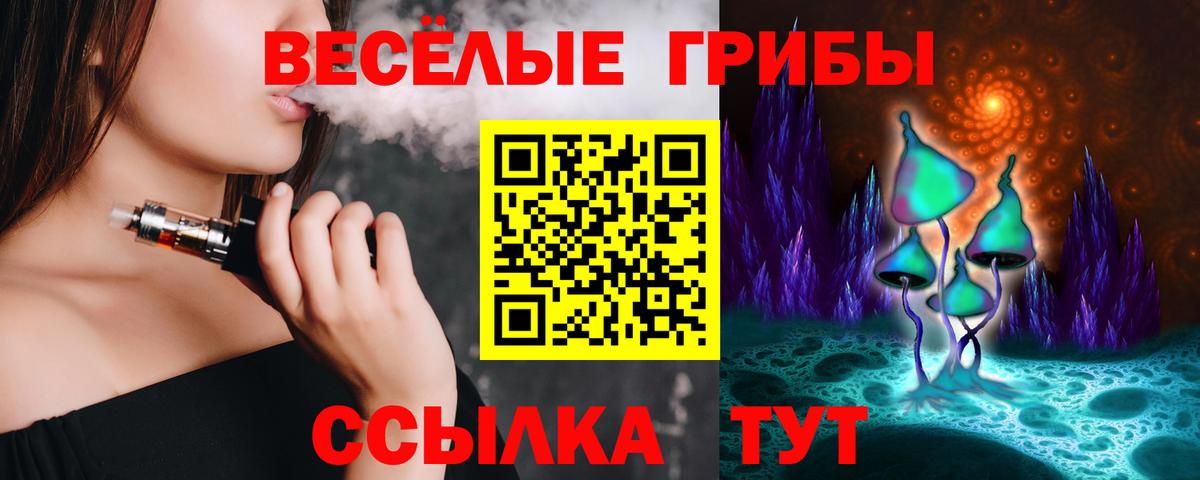 Тара  Псилоцибиновые грибы прущие грибы  Вход с VPN 